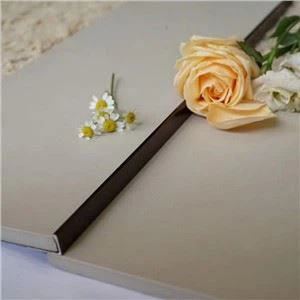 Alumiiniumist sirge serva sisustus